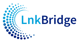 FIN-LNKBRIDGE-LOGO-v5